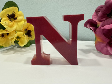 Декоративен елемент буква N