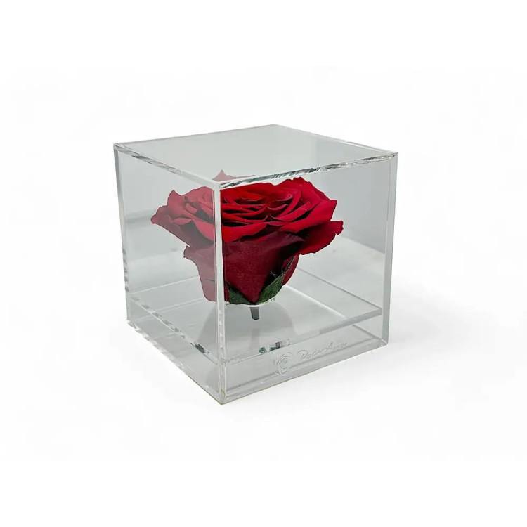 Луксозна кутия с естествена вечна роза GB12 Red 01