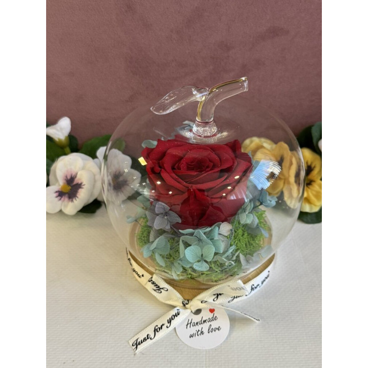 Естествена вечна роза J16