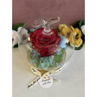 Естествена вечна роза J16