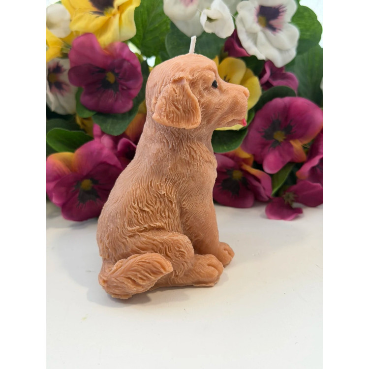 Ароматна свещ от соев и пчелен восък Голдън Ретривър М607