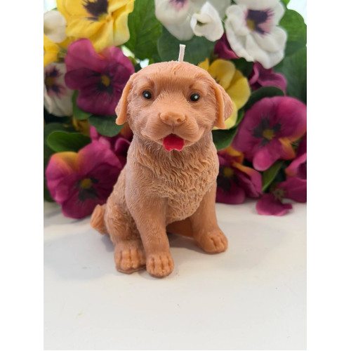 Ароматна свещ от соев и пчелен восък Голдън Ретривър М607