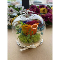 Естествена вечна роза J2