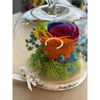 Естествена вечна роза J2