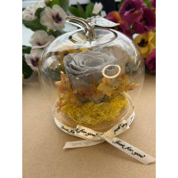 Естествена вечна роза J4