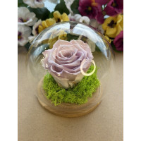 Естествена вечна роза J6