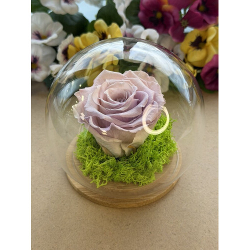 Естествена вечна роза J6