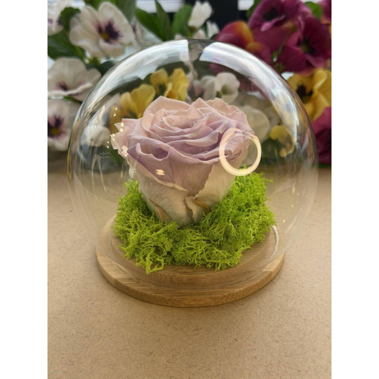 Естествена вечна роза J6