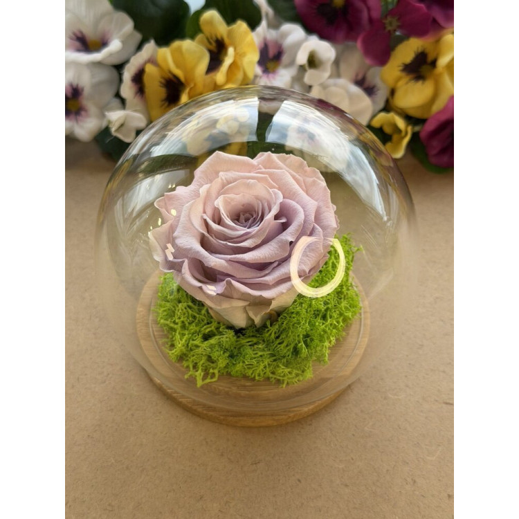 Естествена вечна роза J6