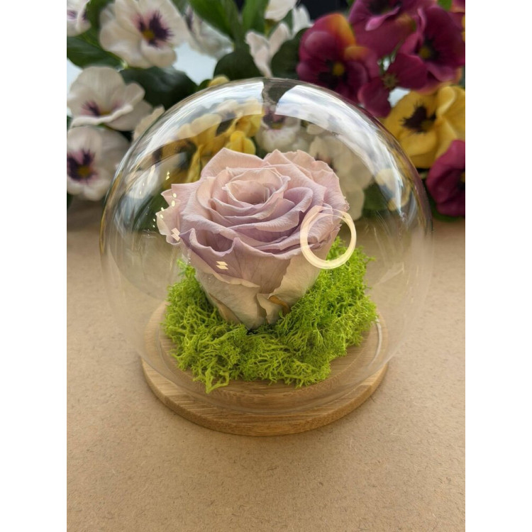 Естествена вечна роза J6