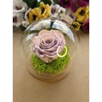 Естествена вечна роза J6