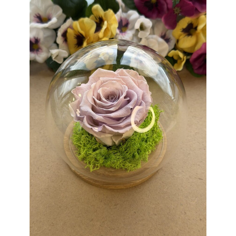 Естествена вечна роза J6