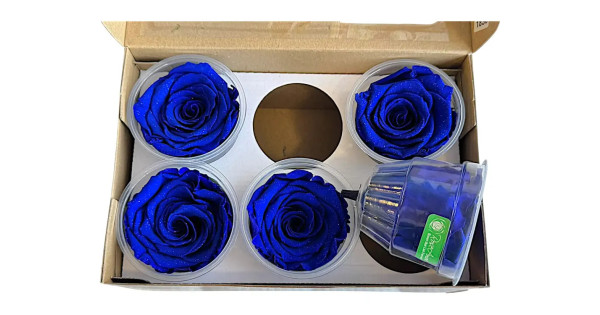 Естествена вечна роза Diamond Dust Blu 03 XL | Intermatrak.com