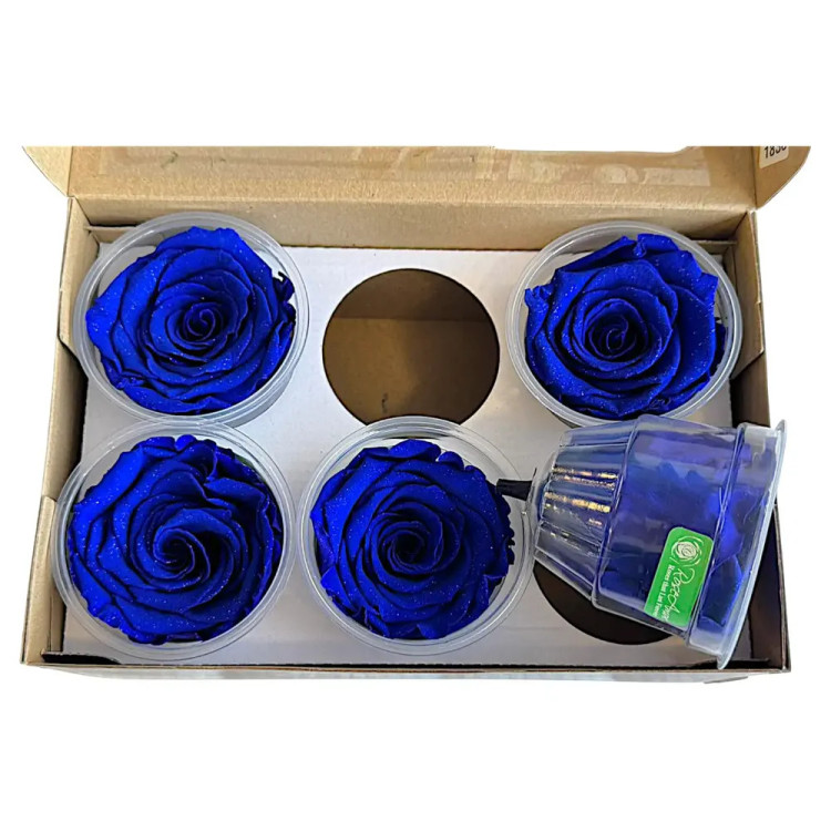 Естествена вечна роза Diamond Dust Blu 03 XL