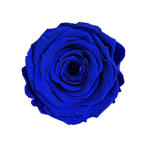 Естествена вечна роза Diamond Dust Blu 03 XL