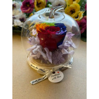 Естествена вечна роза J10