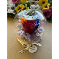 Естествена вечна роза J10