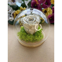 Естествена вечна роза J11