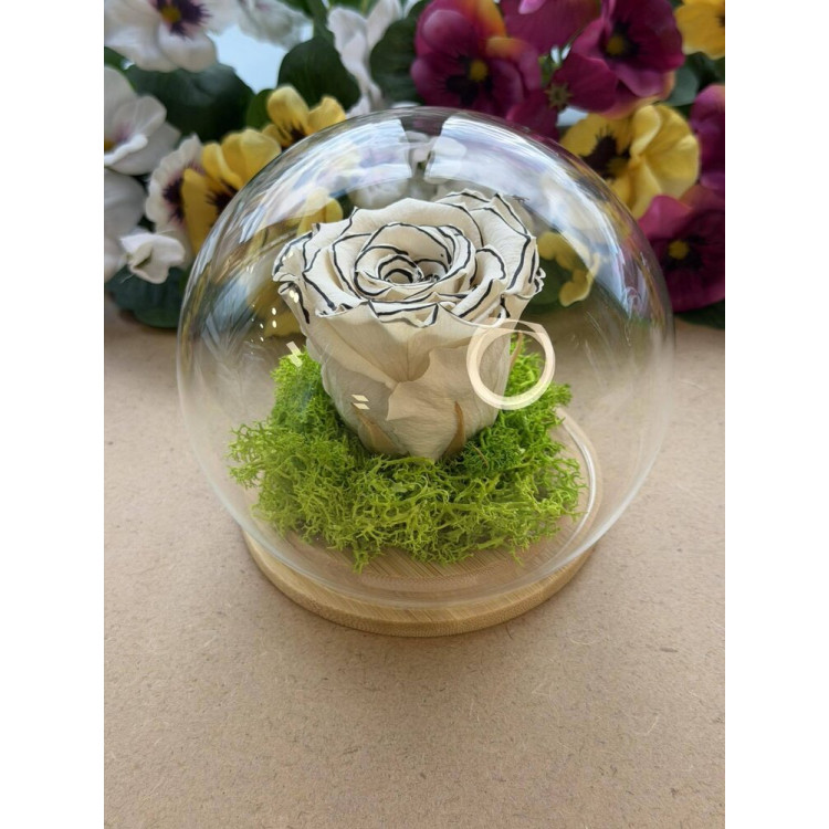 Естествена вечна роза J11