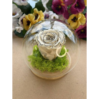 Естествена вечна роза J11