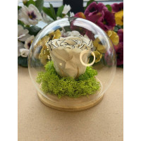 Естествена вечна роза J11