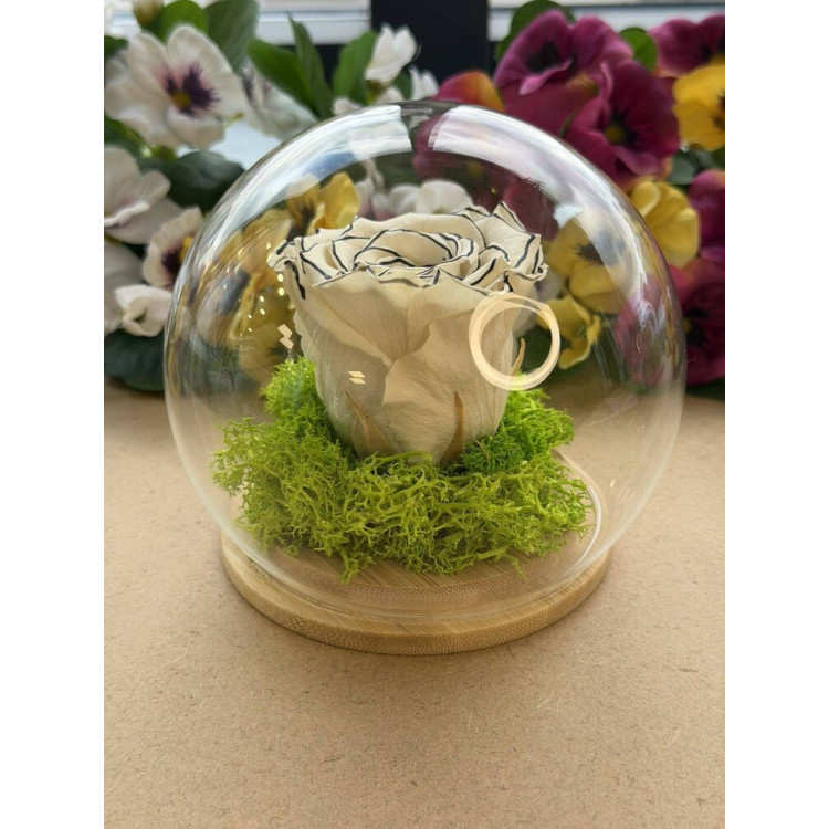 Естествена вечна роза J11