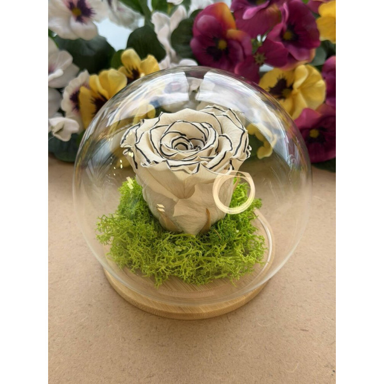 Естествена вечна роза J11