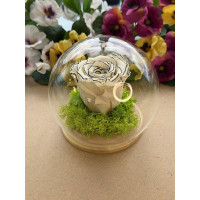 Естествена вечна роза J11