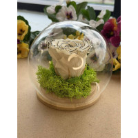 Естествена вечна роза J11