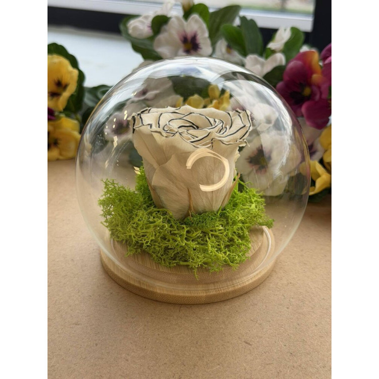 Естествена вечна роза J11