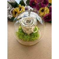 Естествена вечна роза J11