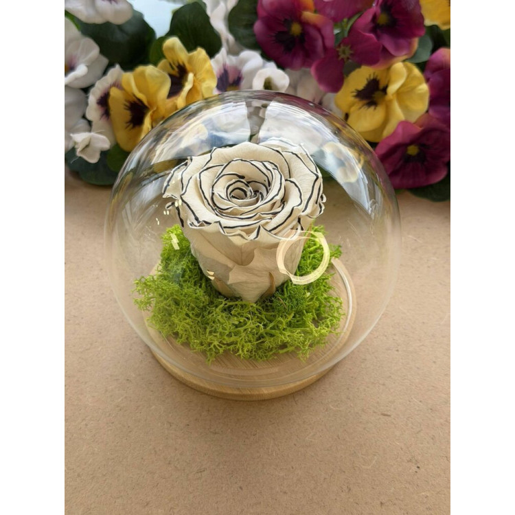 Естествена вечна роза J11