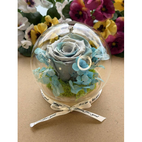 Естествена вечна роза J12