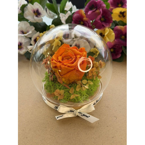 Естествена вечна роза J13