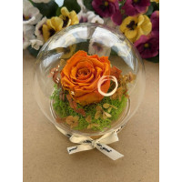 Естествена вечна роза J13