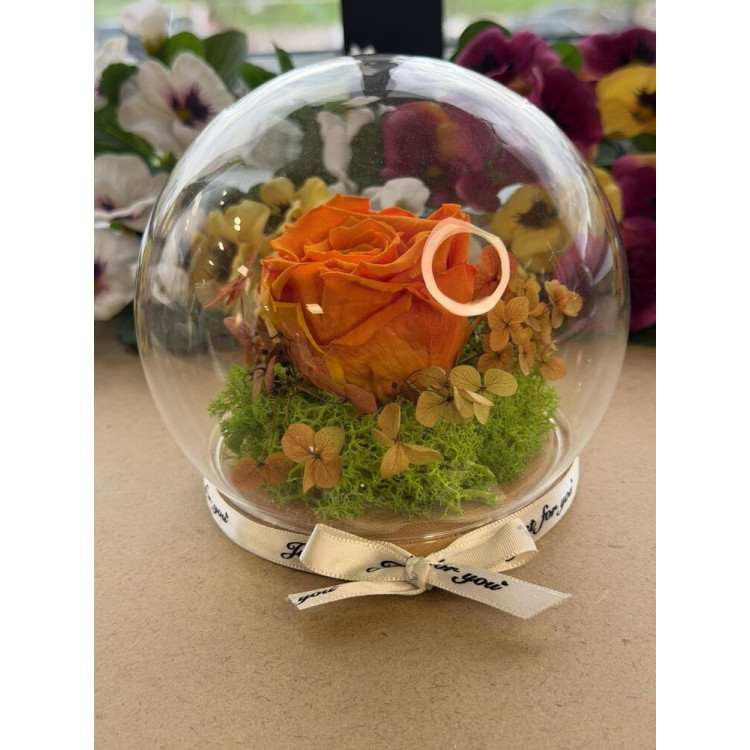 Естествена вечна роза J13