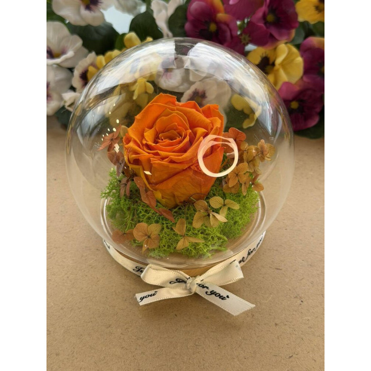 Естествена вечна роза J13