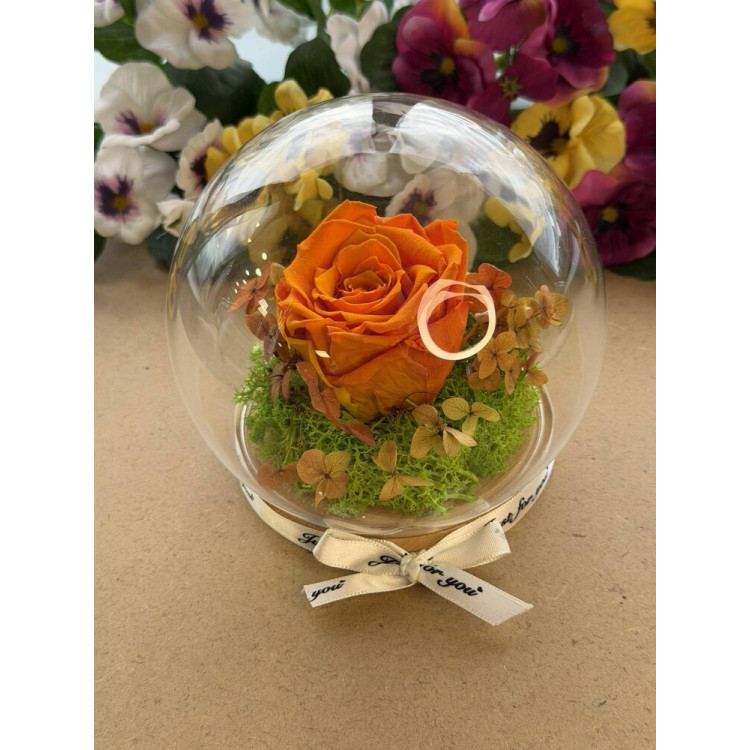 Естествена вечна роза J13