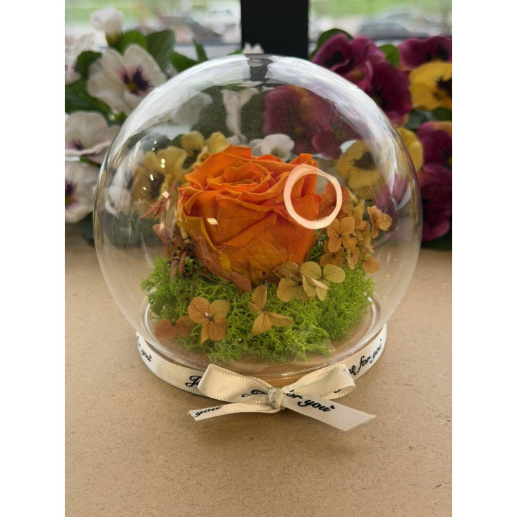 Естествена вечна роза J13