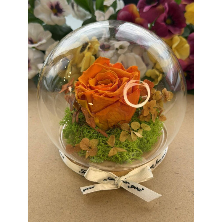 Естествена вечна роза J13