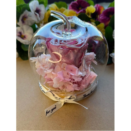 Естествена вечна роза J14