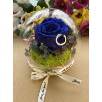 Естествена вечна роза J14