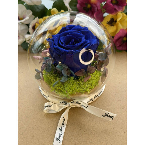 Естествена вечна роза J14