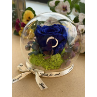 Естествена вечна роза J14