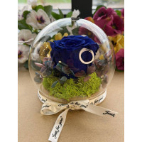 Естествена вечна роза J14