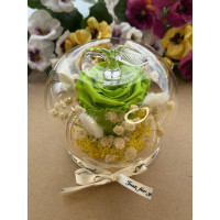 Естествена вечна роза J15