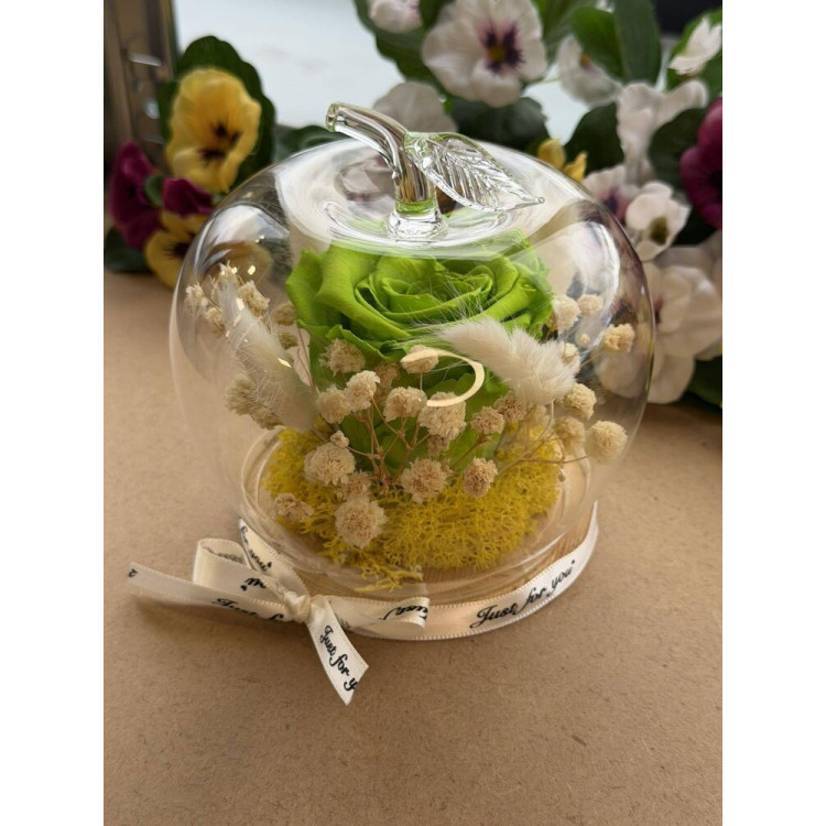 Естествена вечна роза J15