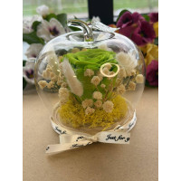 Естествена вечна роза J15