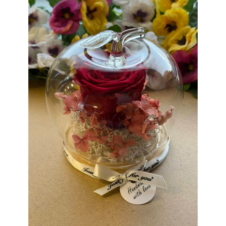 Естествена вечна роза J16