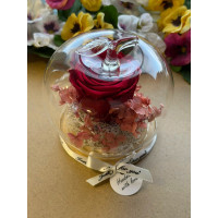 Естествена вечна роза J16